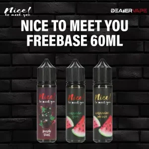 nice to meet you freebase 60ml