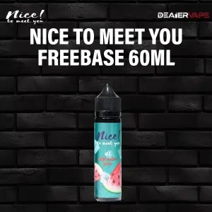 nice to meet you freebase 60ml watermelon ice