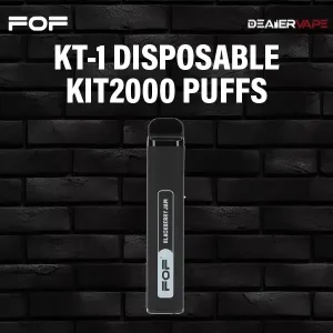 fof kt-1 disposable kit 2000 puffs-blackberry jam