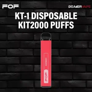 fof kt-1 disposable kit 2000 puffs-raspberry