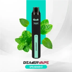 ks quik 5000puffs spearmint