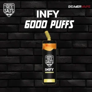 infy 6000 puffs hami melon