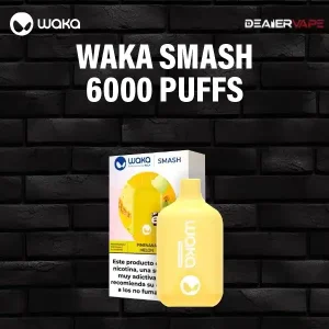 waka smash 6000 puffs-pinenana melon