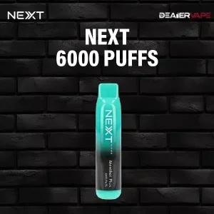 next disposable 6000 puffs pod -menthol plus
