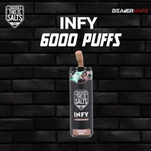 infy 6000 puffs choco mint