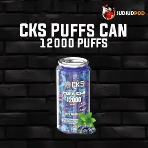 CKS Puffs Can 12000 กลิ่นบลูเบอร์รี่มินต์ – บลูเบอร์รี่เข้มข้น เติมความเย็นจากมิ้นต์ สดชื่นเต็มคำ