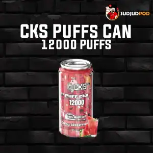 CKS Puffs Can 12000 กลิ่นแตงโมฉ่ำ – แตงโมหวานฉ่ำ สดชื่นทุกคำ สูบเพลินไม่มีเบื่อ