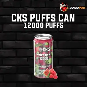 CKS Puffs Can 12000 กลิ่นแตงโมราสป์เบอร์รี่ – หวานฉ่ำแตงโม ผสานราสป์เบอร์รี่หอมเปรี้ยว สดชื่นไม่เหมือนใคร