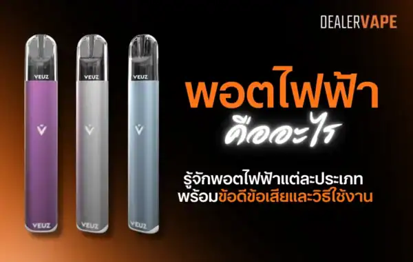 พอตไฟฟ้า คืออะไร คู่มือสำหรับมือใหม่ที่อยากรู้จักอุปกรณ์ยอดนิยมของยุคนี้
