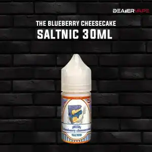 the blueberry cheesecake saltnic 30ml