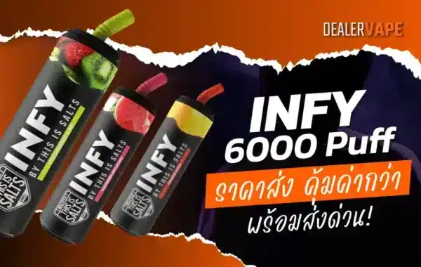 พอตใช้แล้วทิ้ง infy 6000 puff ราคาส่ง
