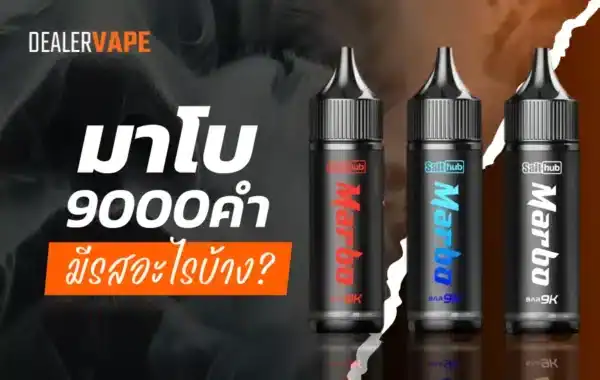 มาโบ 9000 คํา มีรสอะไรบ้าง