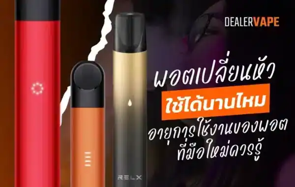 พอตเปลี่ยนหัว ใช้ได้นานไหม อายุการใช้งานของพอตที่มือใหม่ควรรู้