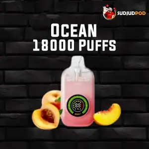 Ocean 18000 Puffs กลิ่นพีช – พีชหอมหวานละมุน สดชื่นทุกคำฟิน